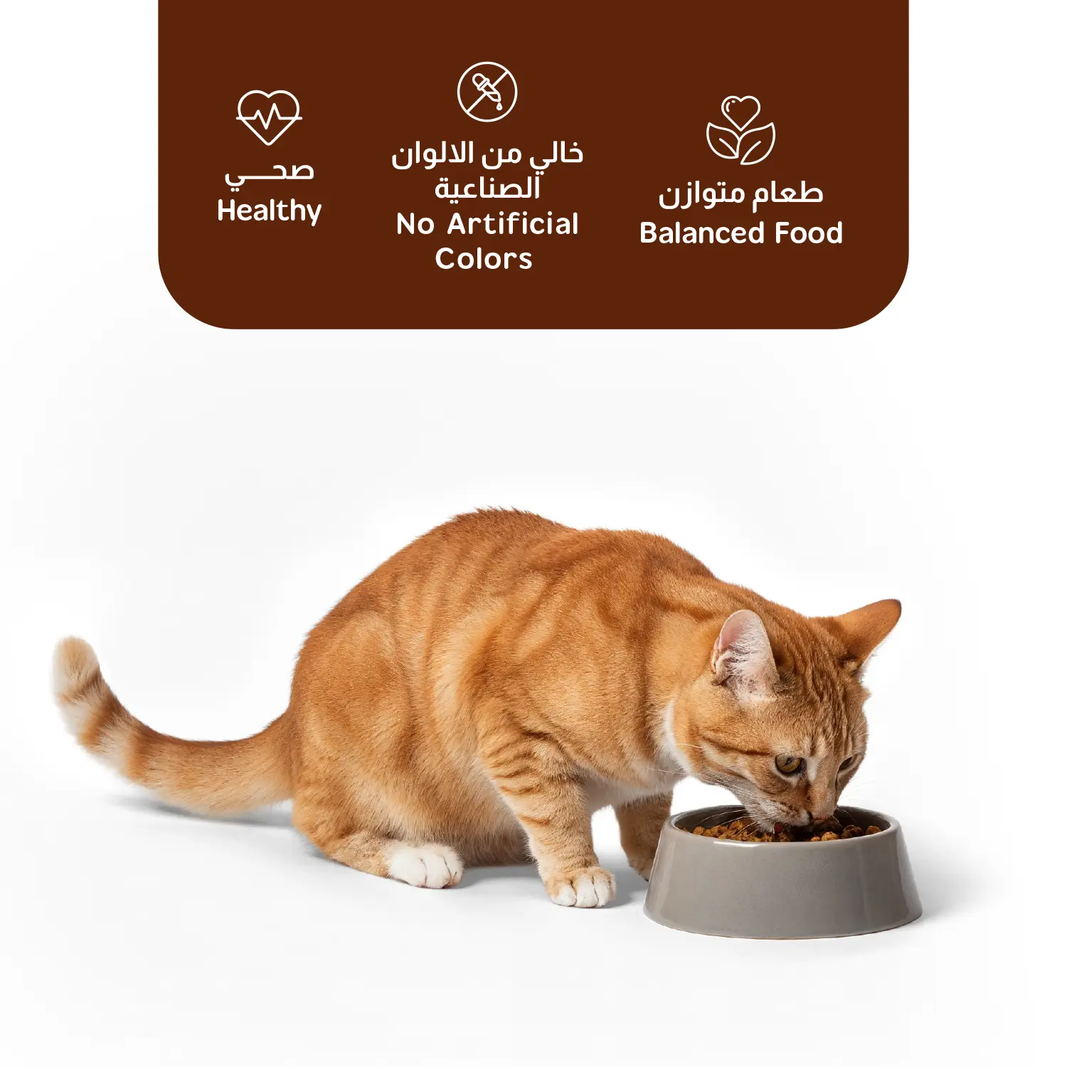  Go Meo for Adult & Kitten 20 kg - view 5