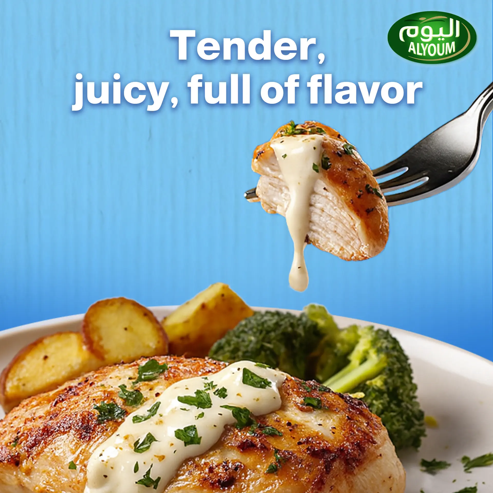 Alyoum Chicken Breast Fillet 450 gm - view 6