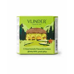Vlinder Chocolate Coin with pistachio & kunafa gelato filling 55 gm