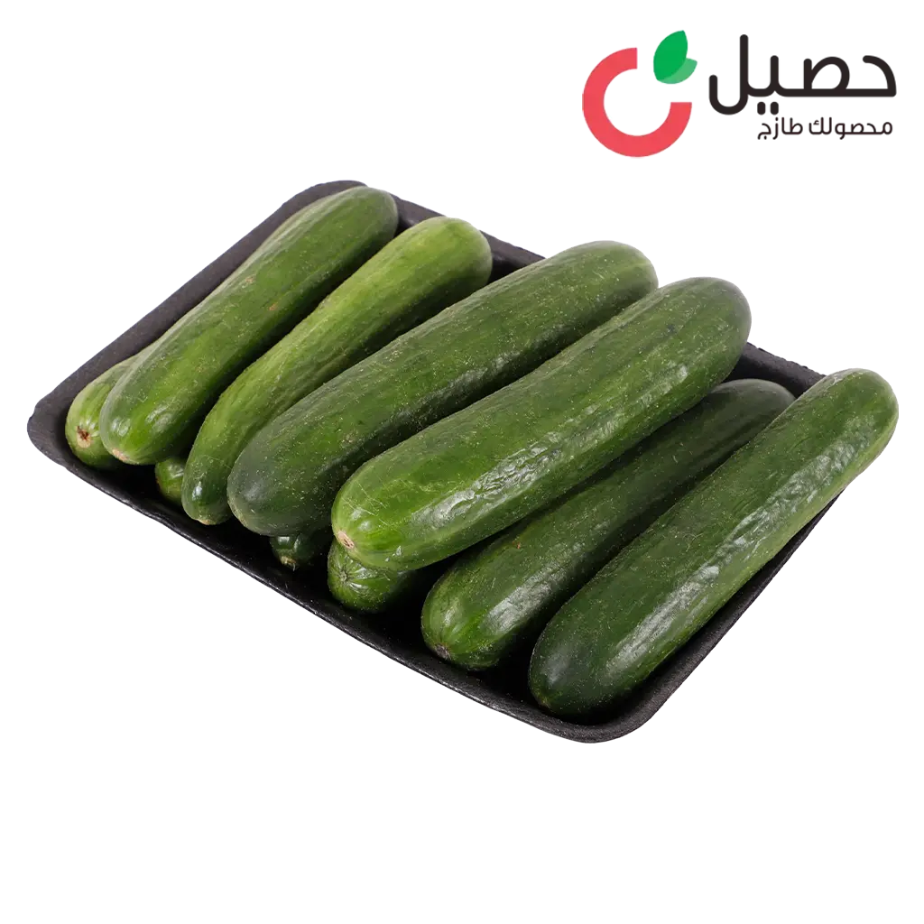 حصيل خيار 1 كجم - view 2