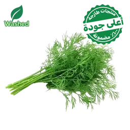 Washed dill 1 Bundle