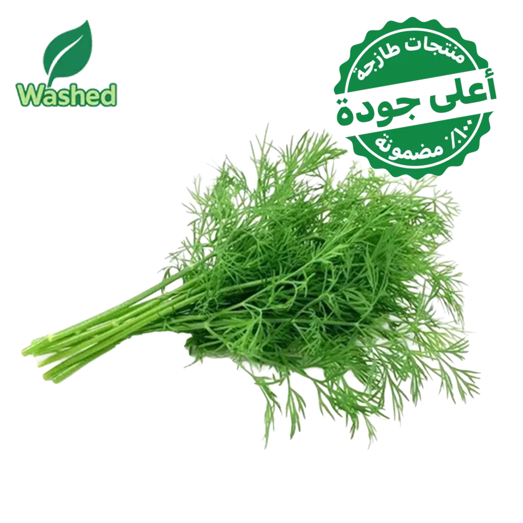 Washed dill 1 Bundle