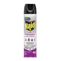 Raid Multi Insect Killer Odorless 300 ml