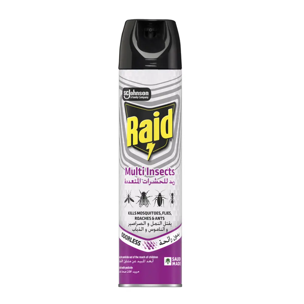 Raid Multi Insect Killer Odorless 300 ml - view 1