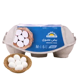 أرض الطبيعة بيض عضوي ٦حبة