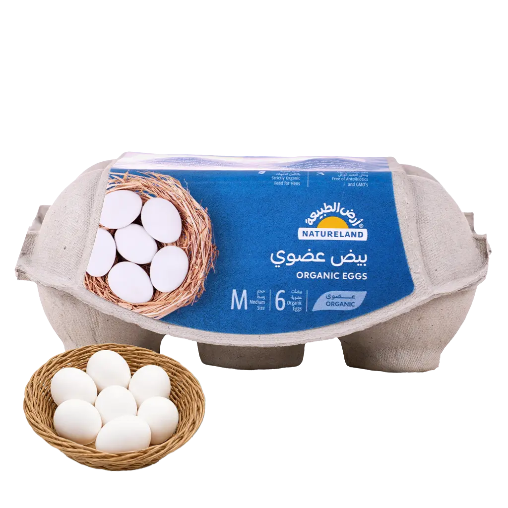 Natureland Organic Eggs 6pcs - view 1