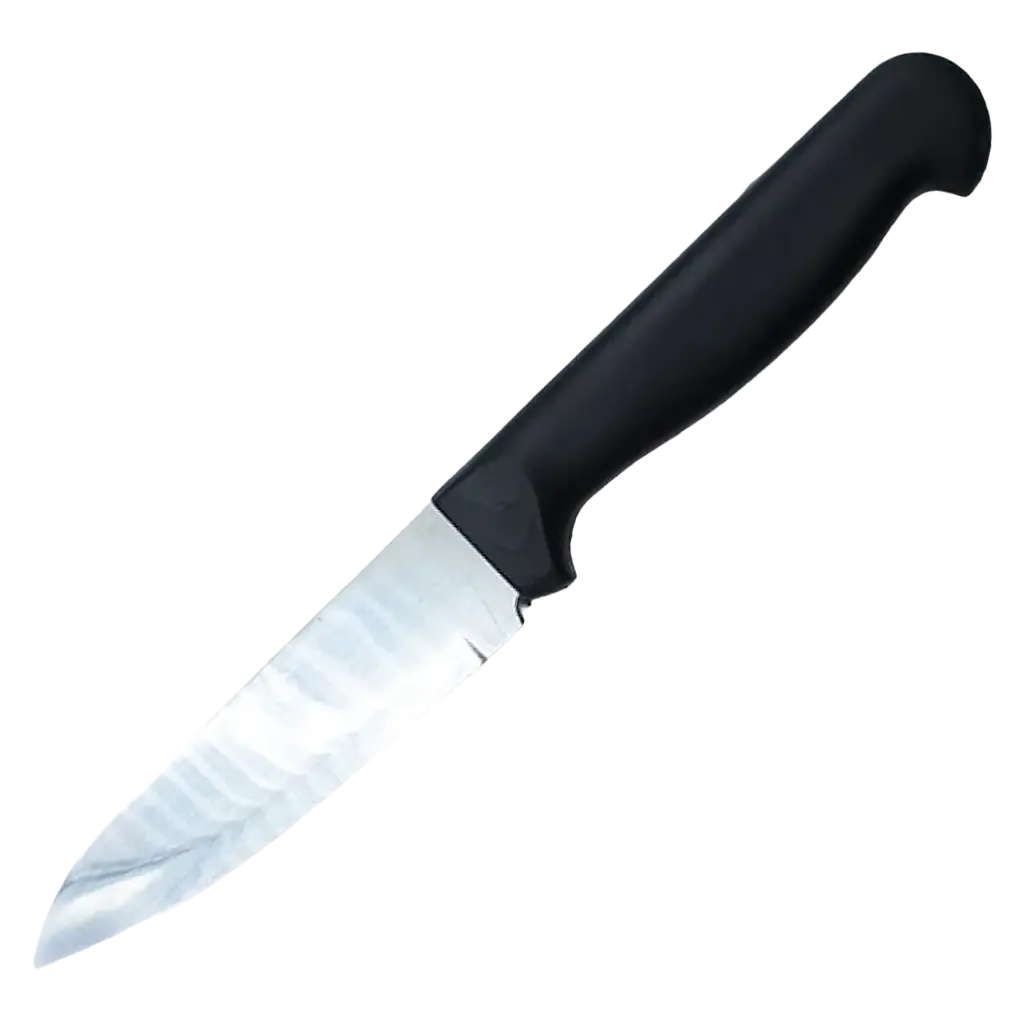Steel Fruit and Vegetable Knife No 5 - view 2