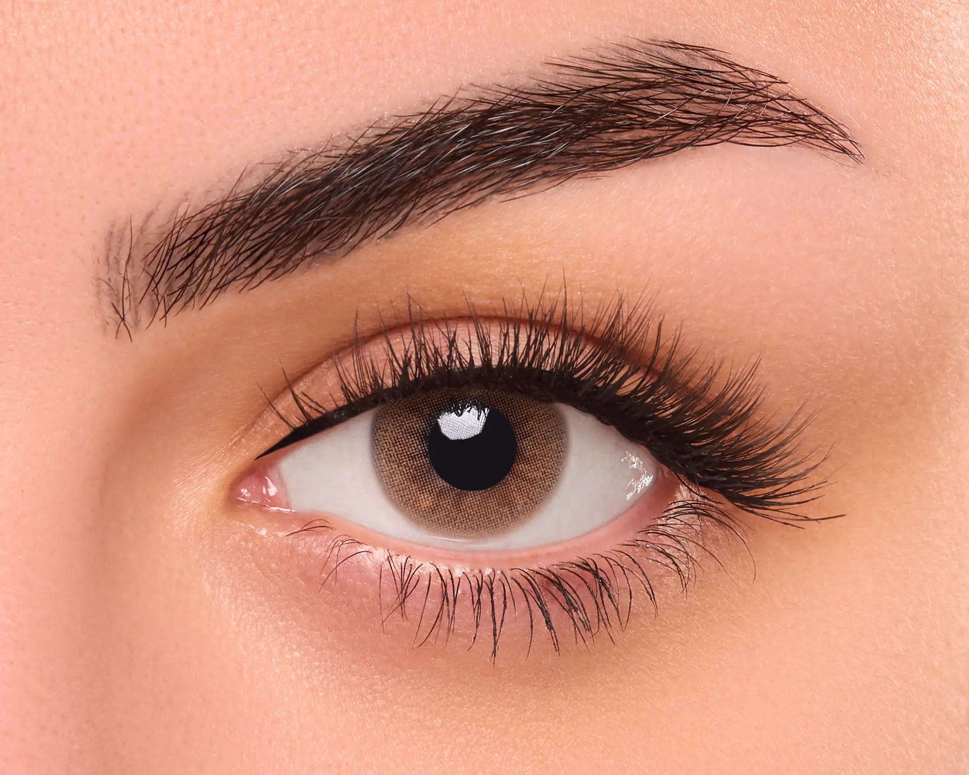Fresh Eyes Cinnimon Daily Contact Lenses - view 1