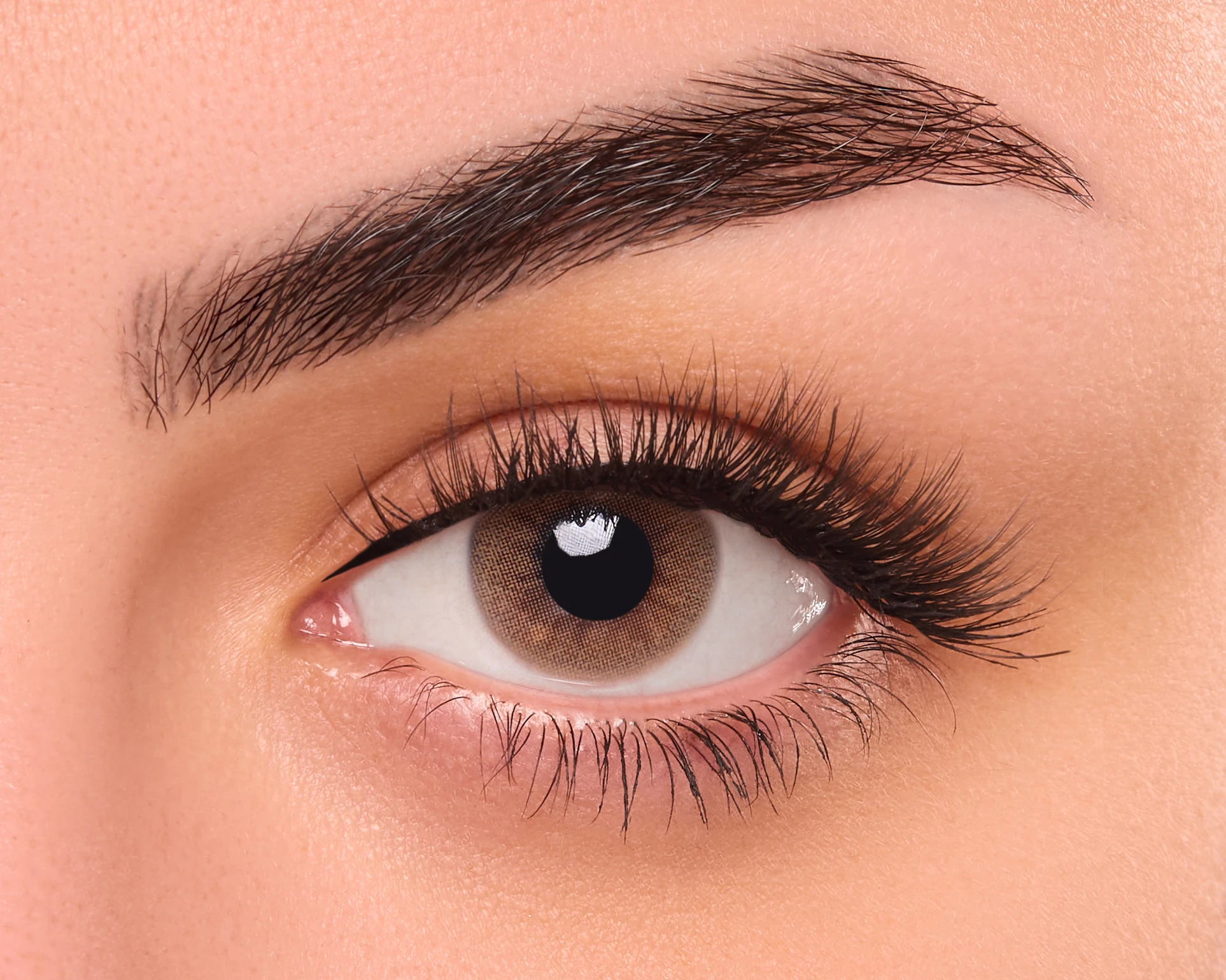 Fresh Eyes Cinnimon Daily Contact Lenses