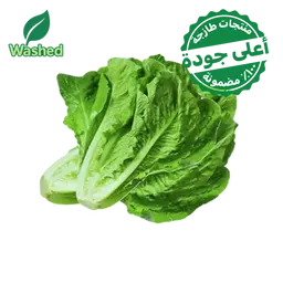 Washed Romaine lettuce 1 Bundle