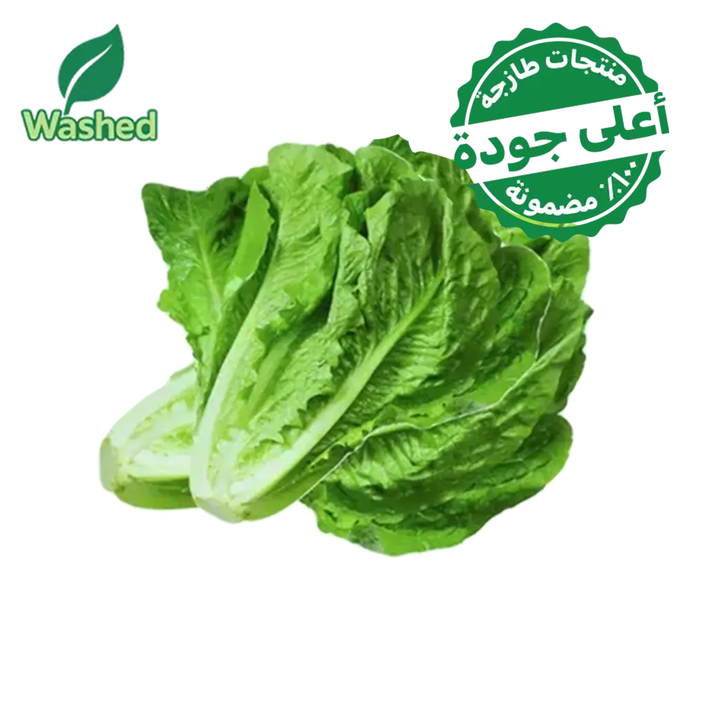 Washed Romaine lettuce 1 Bundle - view 1