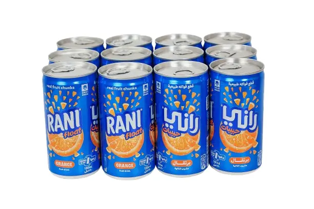 Rani Float Orange Fruit Drink 180MIX12 - view 1