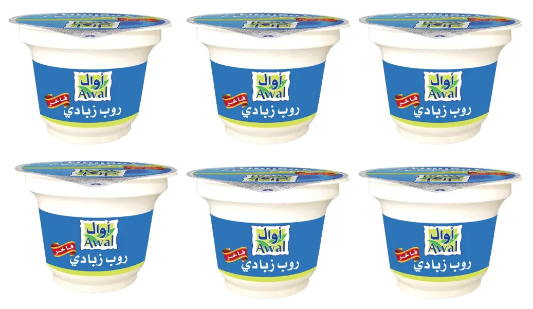 Awal Yoghurt Full Cream 160GmX6 - view 1