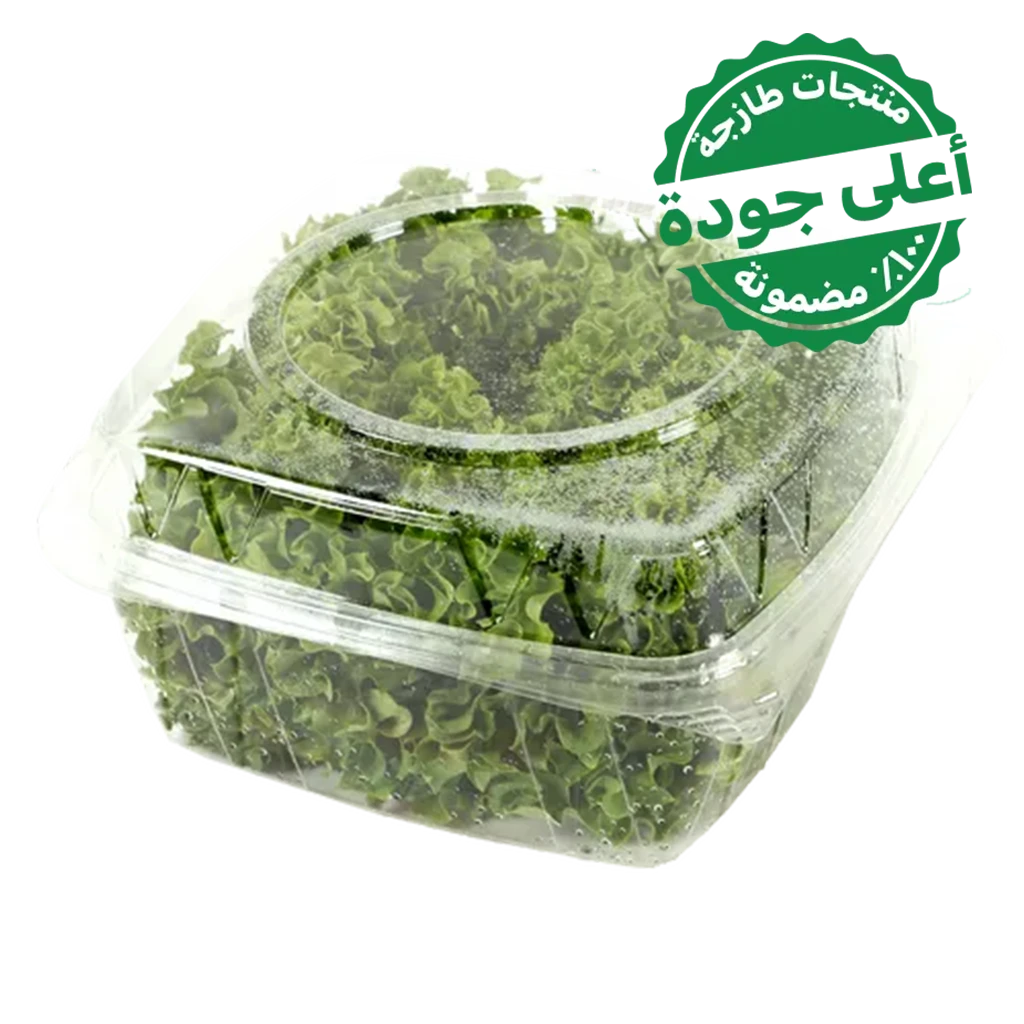 Lettuce Biondo 1 Pcs 250 gm Approximately 