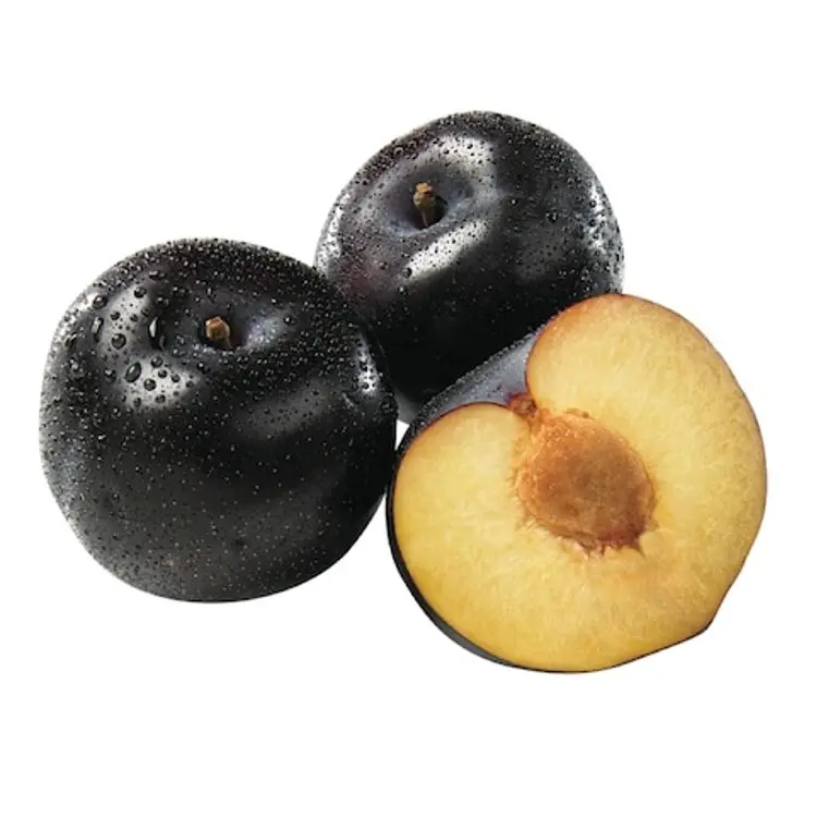 Plum Black South Africa 500G - view 1