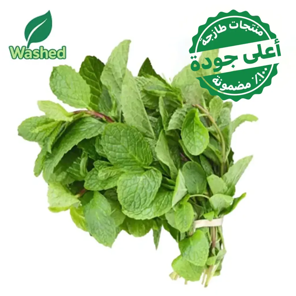 Washed Mint 1 Bundle - view 1