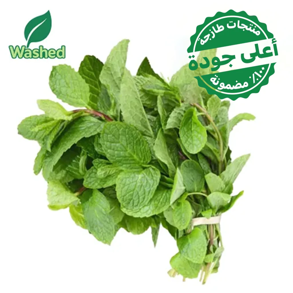Washed Mint 1 Bundle