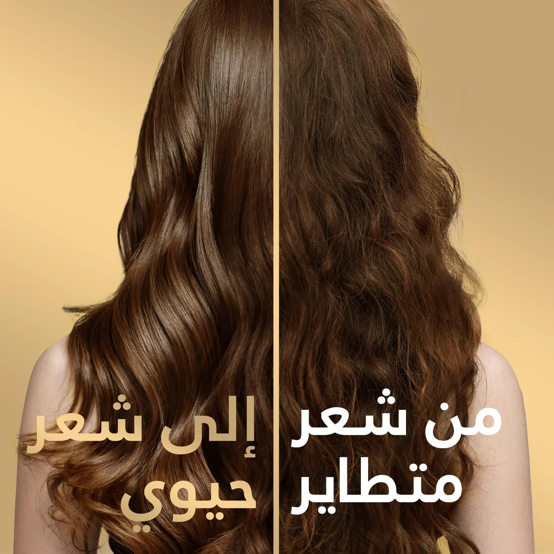 بانتين برو-في شامبو وداعًا للتطاير تحكم لمدة 72 ساعة 500 مل - view 7