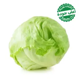 Iceberg Lettuce Imported 1 pcs 