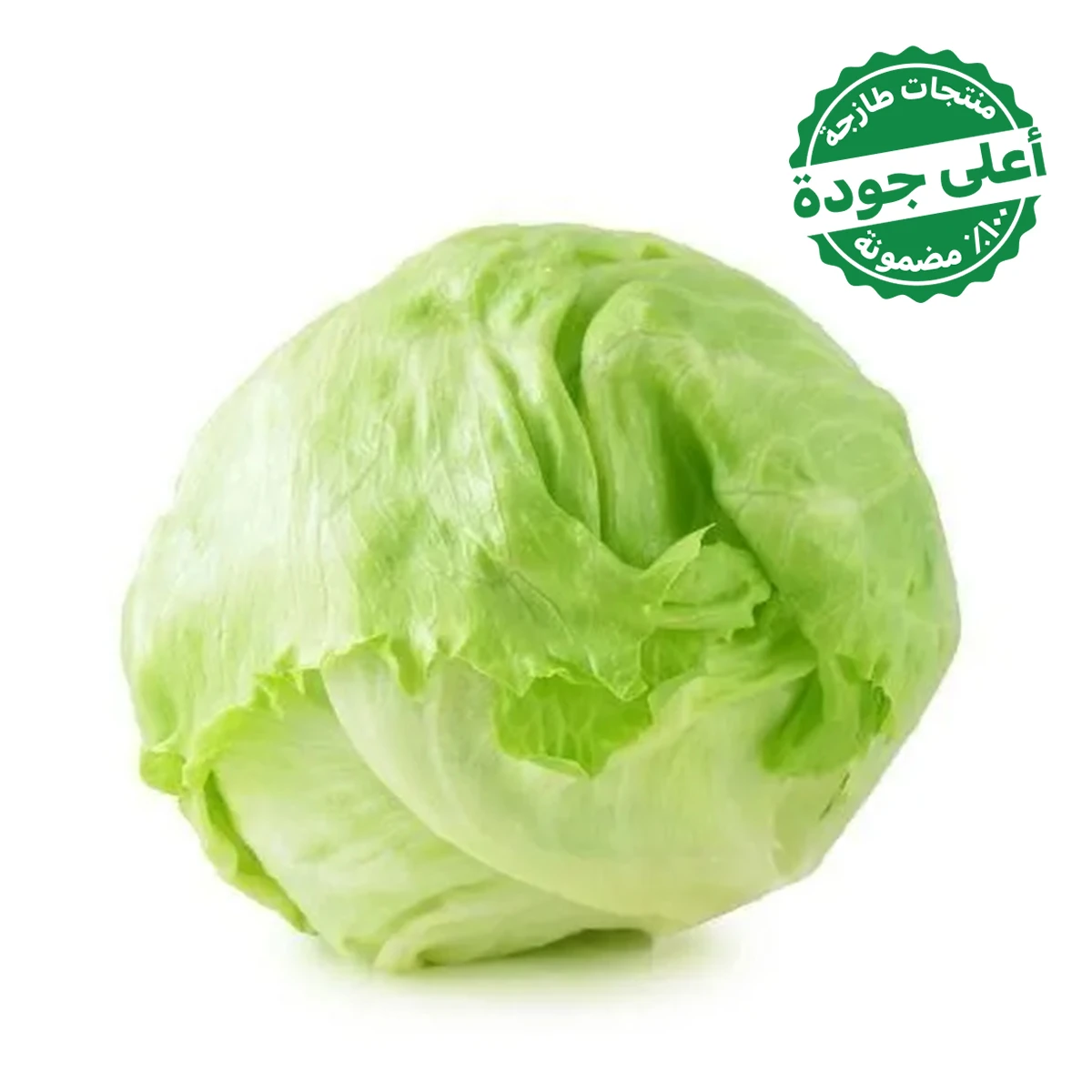 Iceberg Lettuce Imported 1 pcs 
