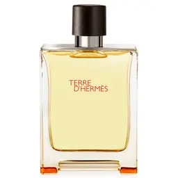 تير دي هيرمز عطر هيرمز للرجال او دي تواليت 100 مل