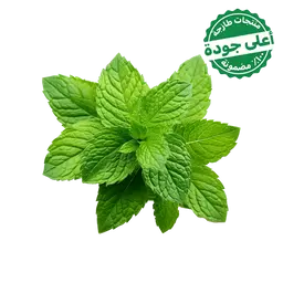 Mint Local 1 Bundle 