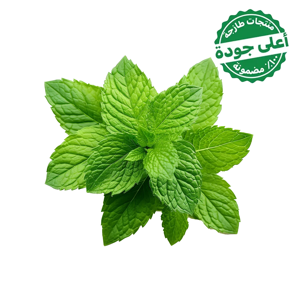 Mint Local 1 Bundle 