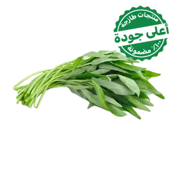 Basil Habak Local 1 Bundle 