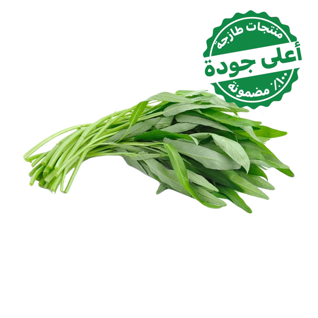 Basil Habak Local 1 Bundle 