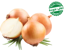 Yellow Onions Local 1kg approximately