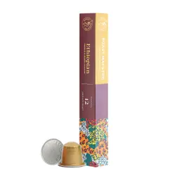 Roast Maestro Ethiopia Coffee 10 Capsules