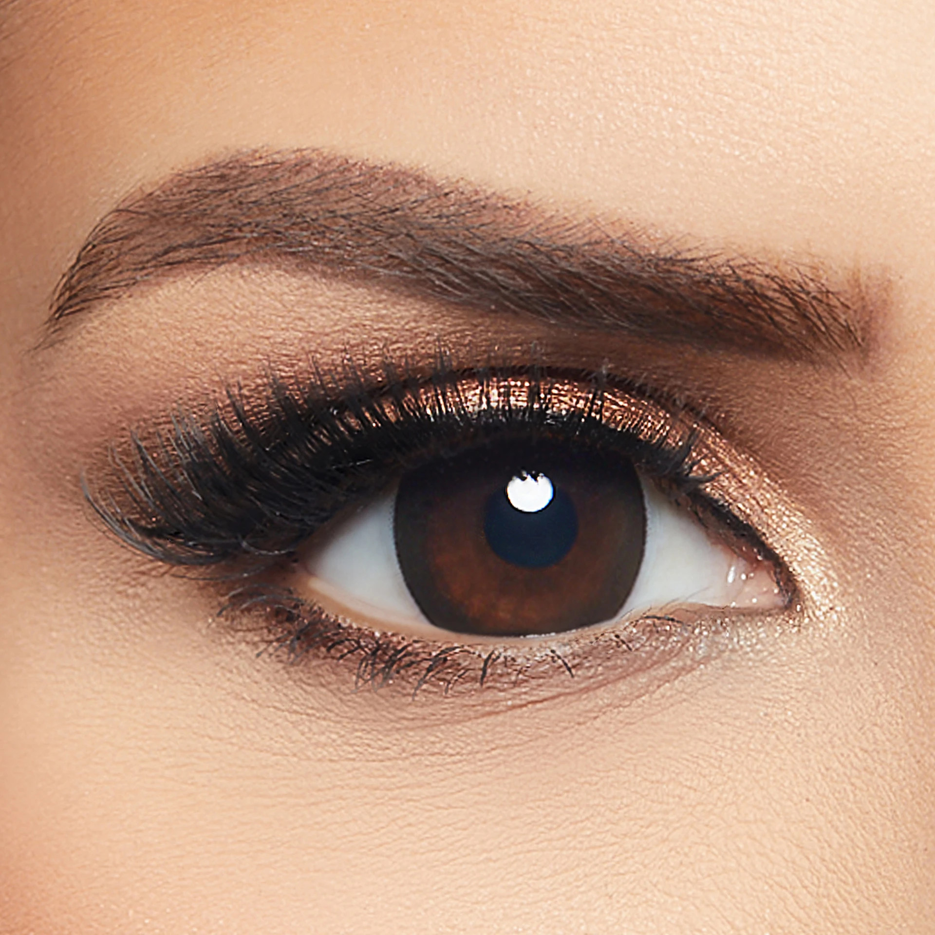 Layala Contour Dazzle Black Pack of 10