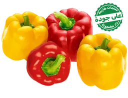 Bell Pepper Mix Local 500 gm approximately