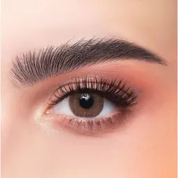 Dahab Daily Mix Collection (Lumirere Hazel Solitaire Sabrin Grey Green Sky Cat Eye)