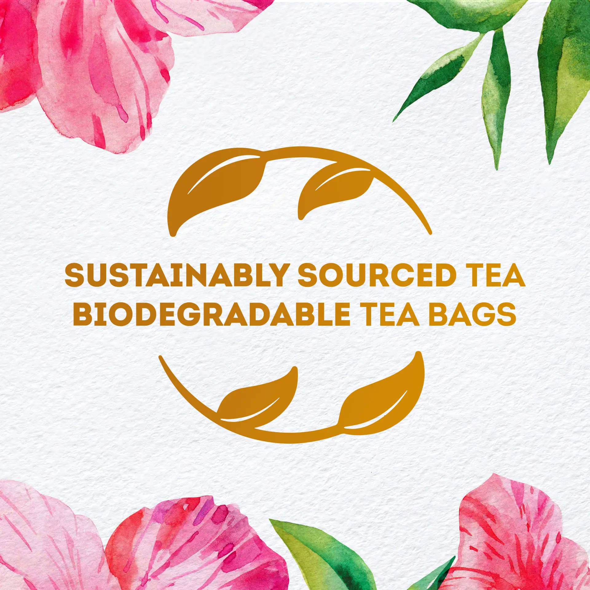 Lipton Herbal Infusion Hibiscus 20 Bags - view 4