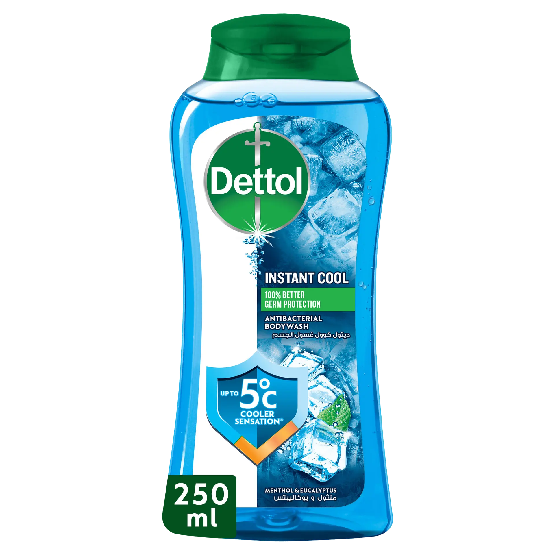 Dettol Cool Shower Gel and Body Wash Menthol and Eucalyptus Scent 250 ml - view 1