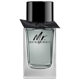 Burberry Mr Burberry For Men EDT 100 ml