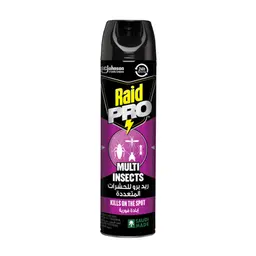 Raid Pro Multi Insect Killer Aerosol  300 ml 