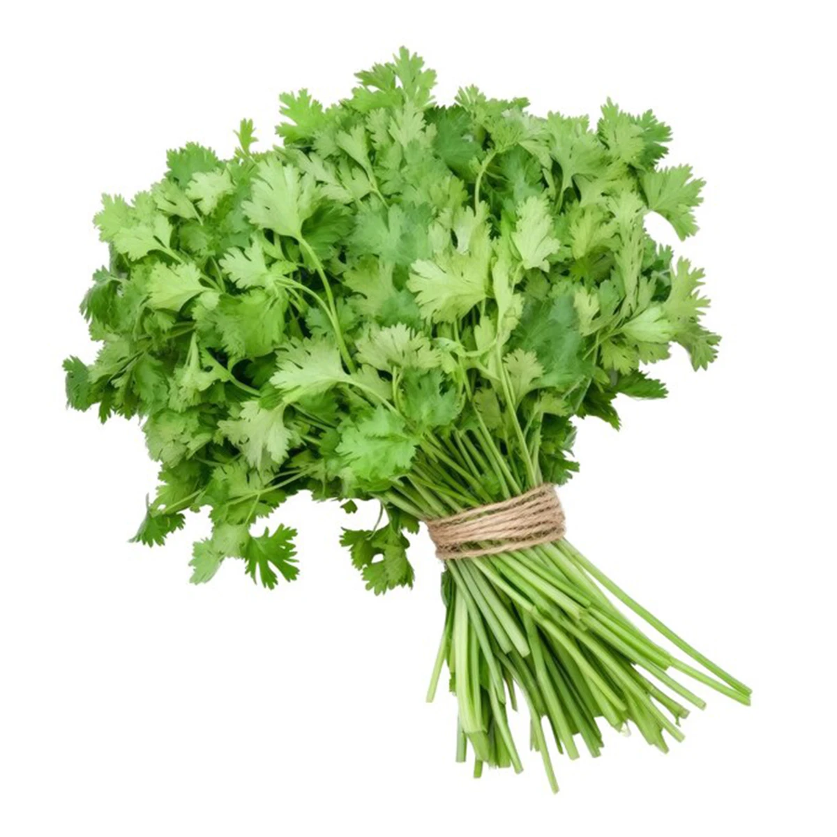 Kuwaiti Green Parsley 150 gm