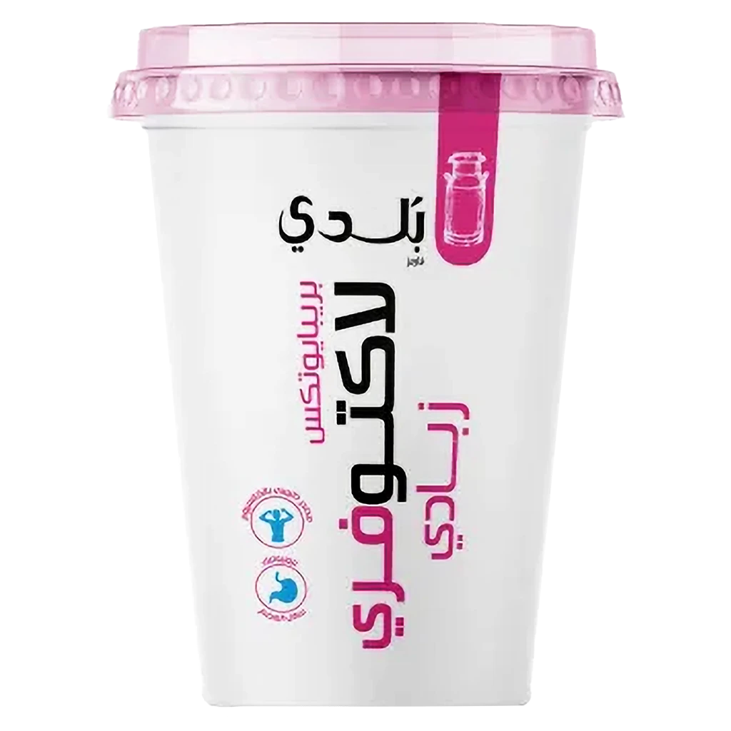 Balade Lactofree Yoghurt 450 gm