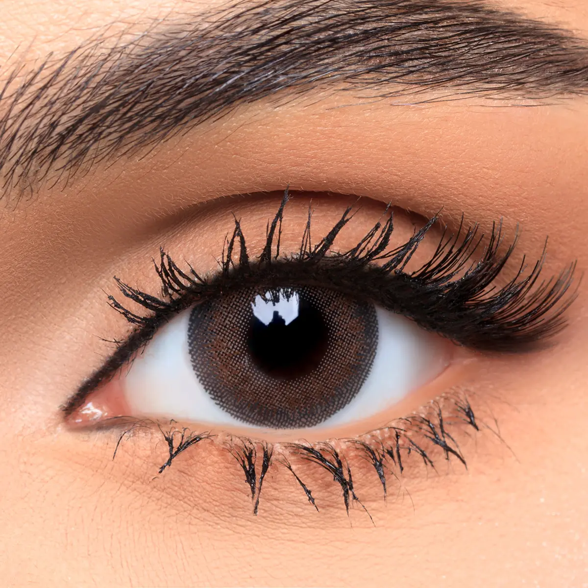 Afle Daily Contact Lenses Tobacco - view 1