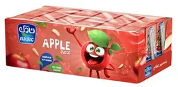 Nadec Apple Juice NAS 125MlX18