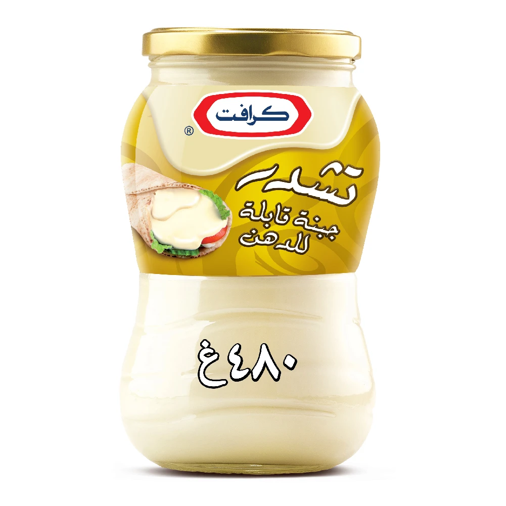 Kraft Spreadable Cheddar Cheese 480 gm