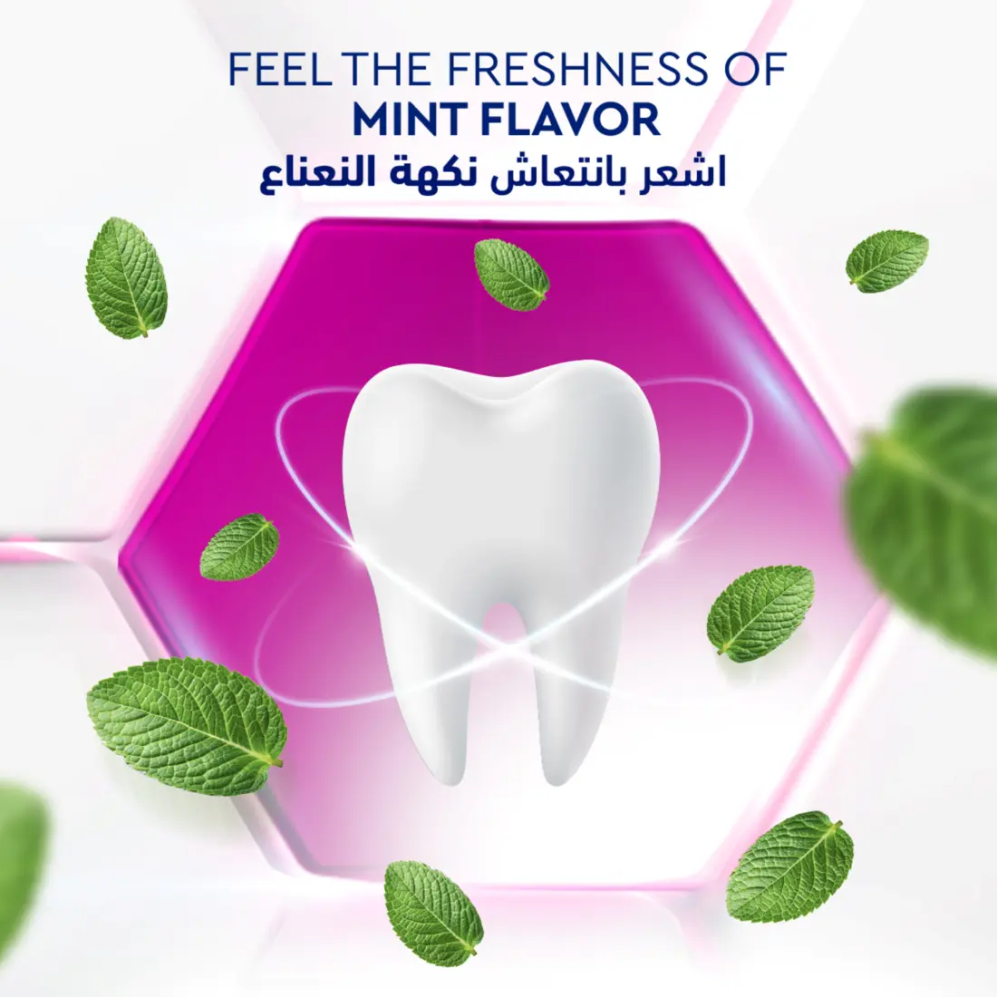 Signal Gum Expert Toothpaste Fresh 75ml - view 7