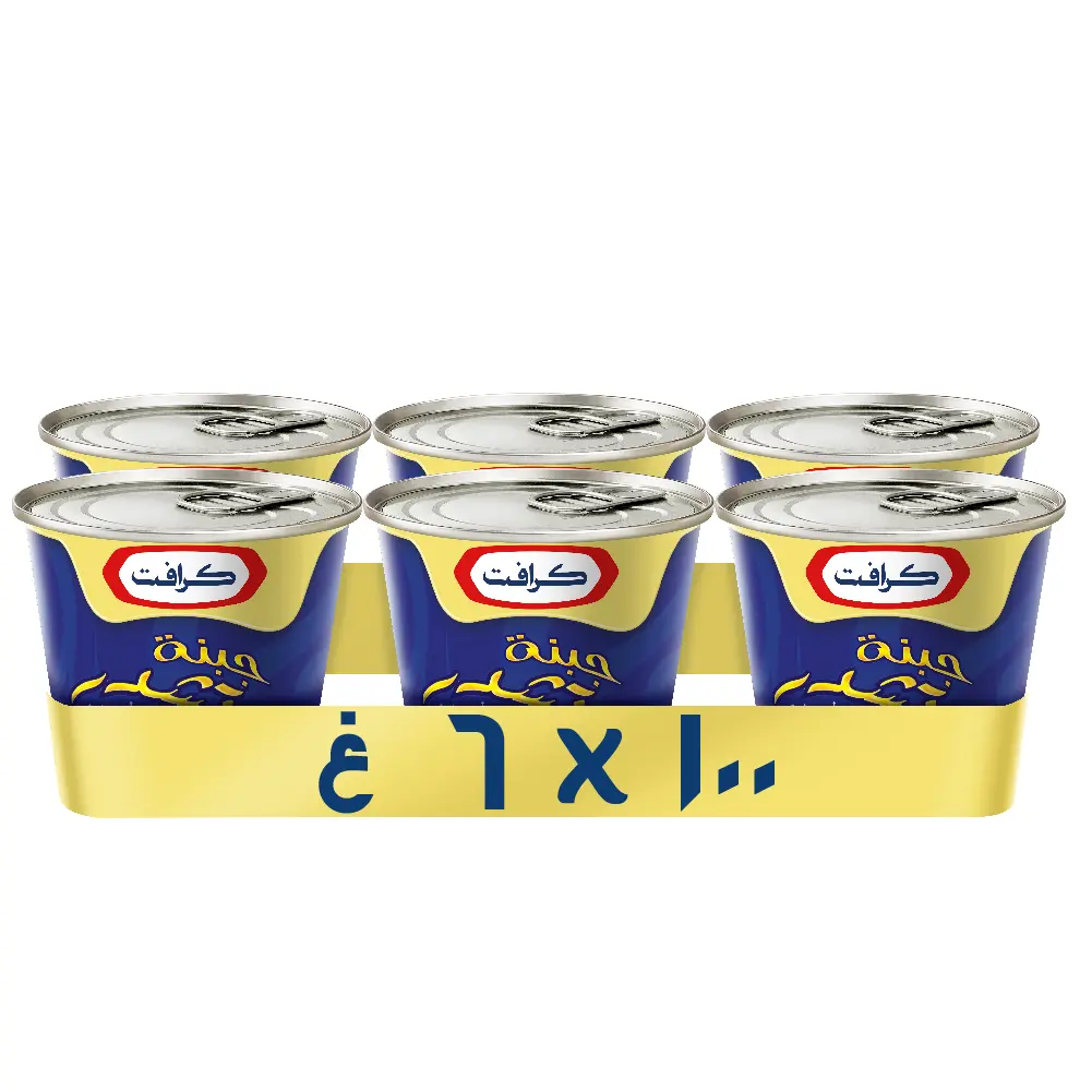 Kraft Block Cheddar Cheese 6 pcs 100 gm - view 1