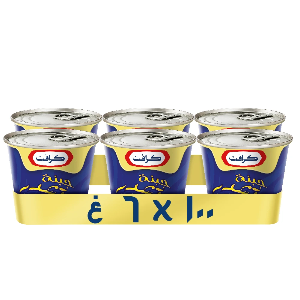 Kraft Block Cheddar Cheese 6 pcs 100 gm