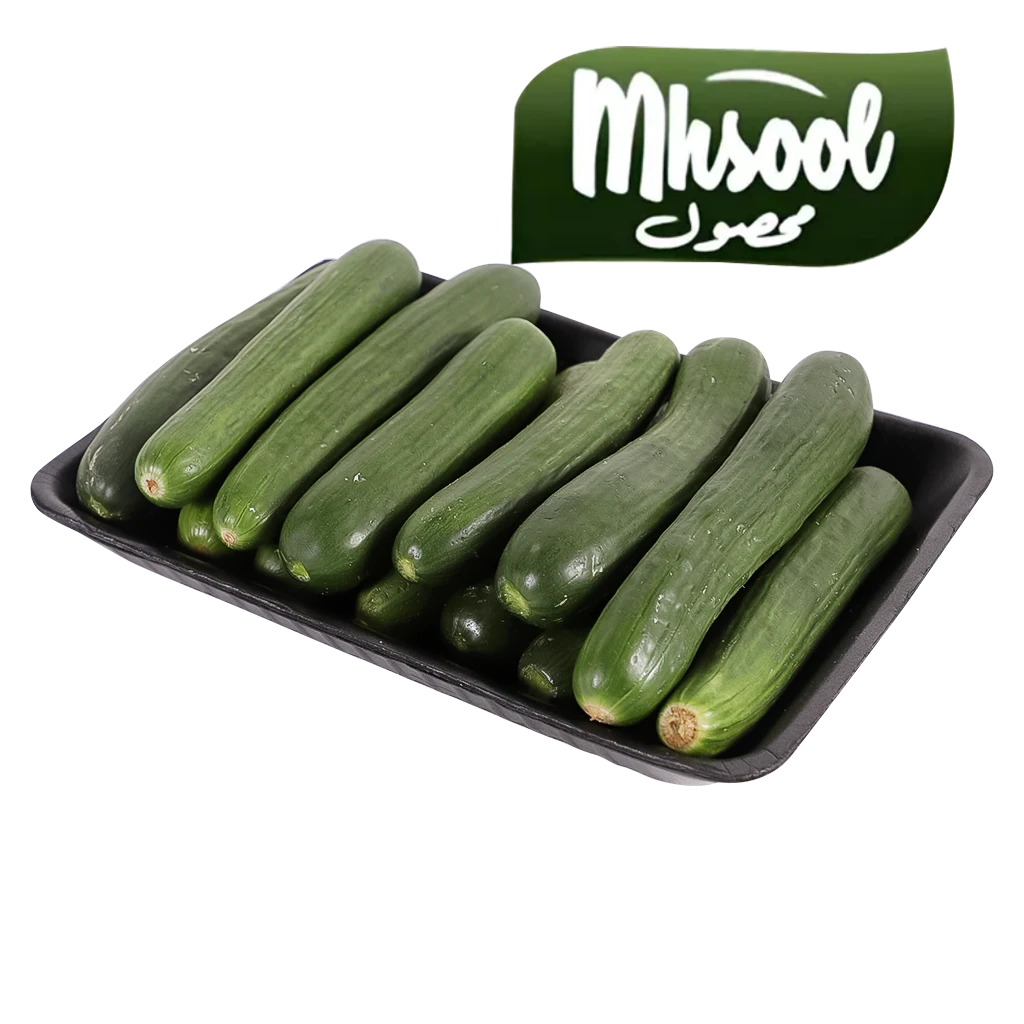 محصول  خيار  1 كجم