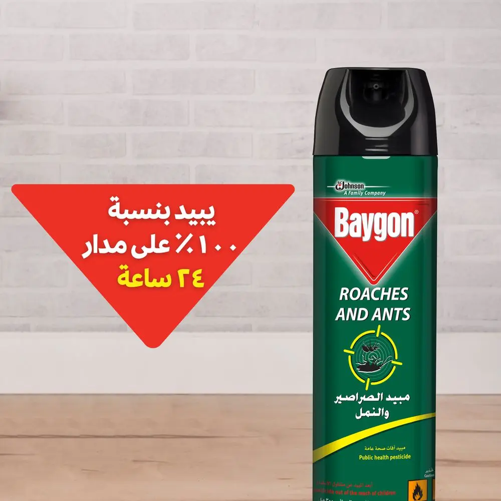 Baygon Crawling Insects Killer 300 ml - view 3