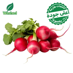 Washed Red Radish 1 Bundle