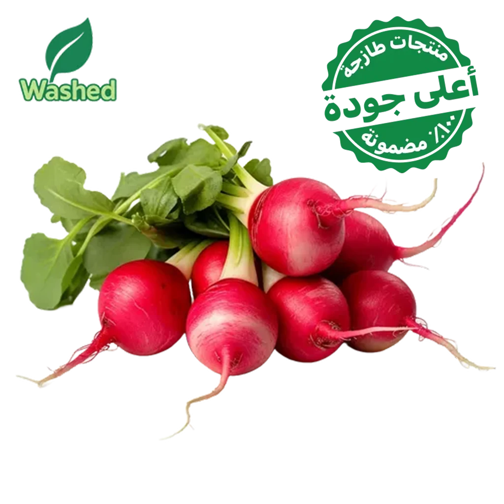 Washed Red Radish 1 Bundle
